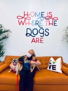 Betsy and Britta getting hugged on the couch pug and pug-mix on the couch getting hugged
