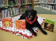 Black dog at library