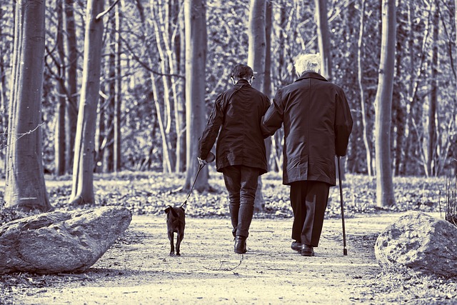 Elderly couple walking their dog