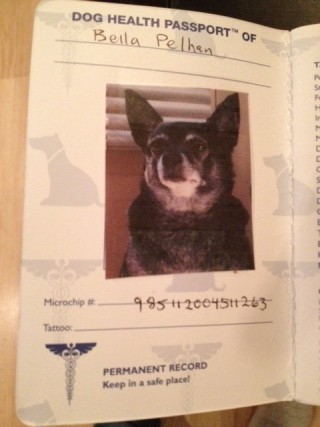 Bella's passport for her trip to the UK.