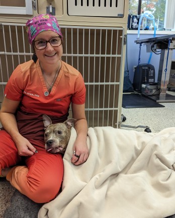 dog wrapped in blanket with vet
