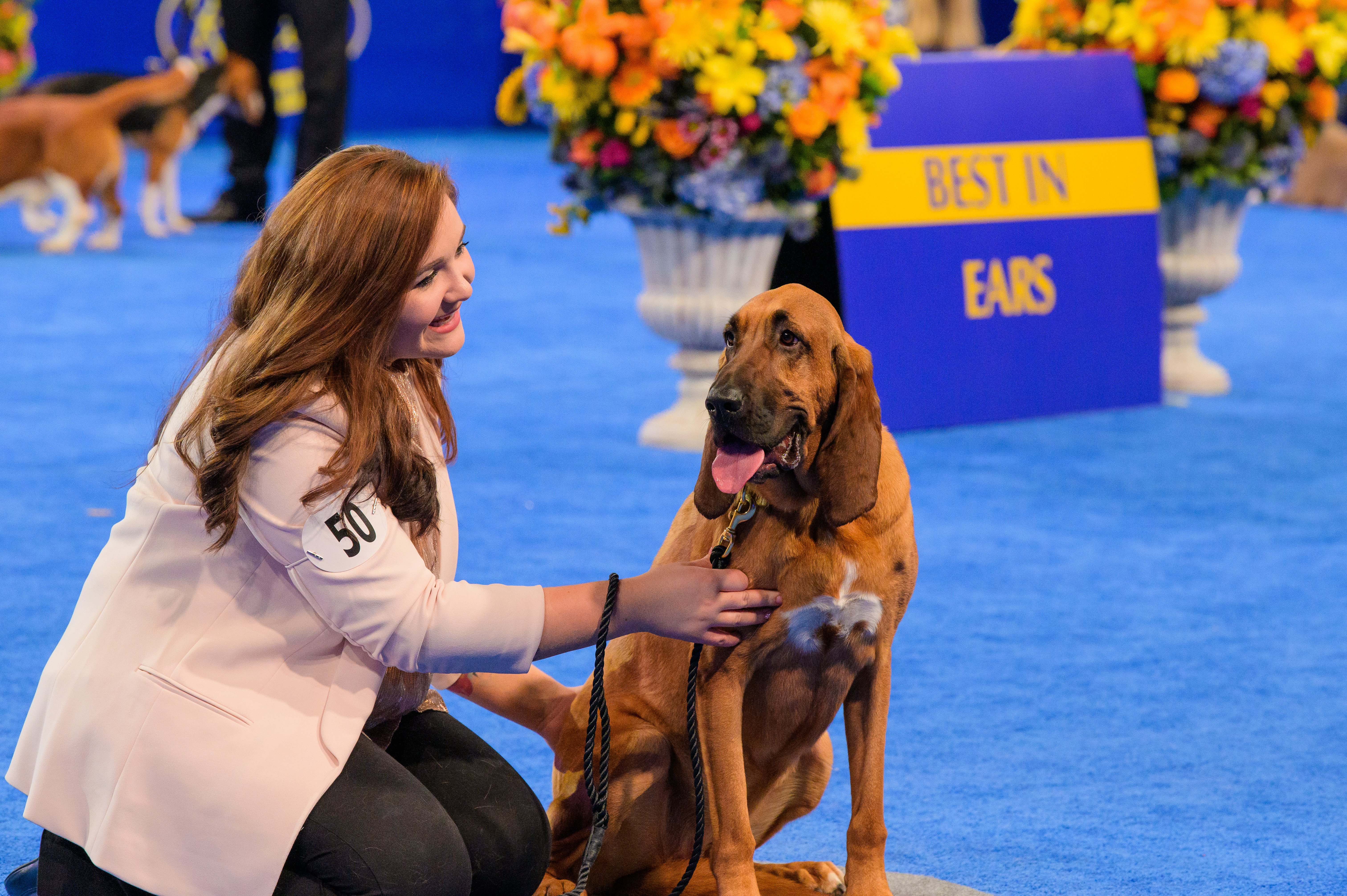 what is the american rescue dog show