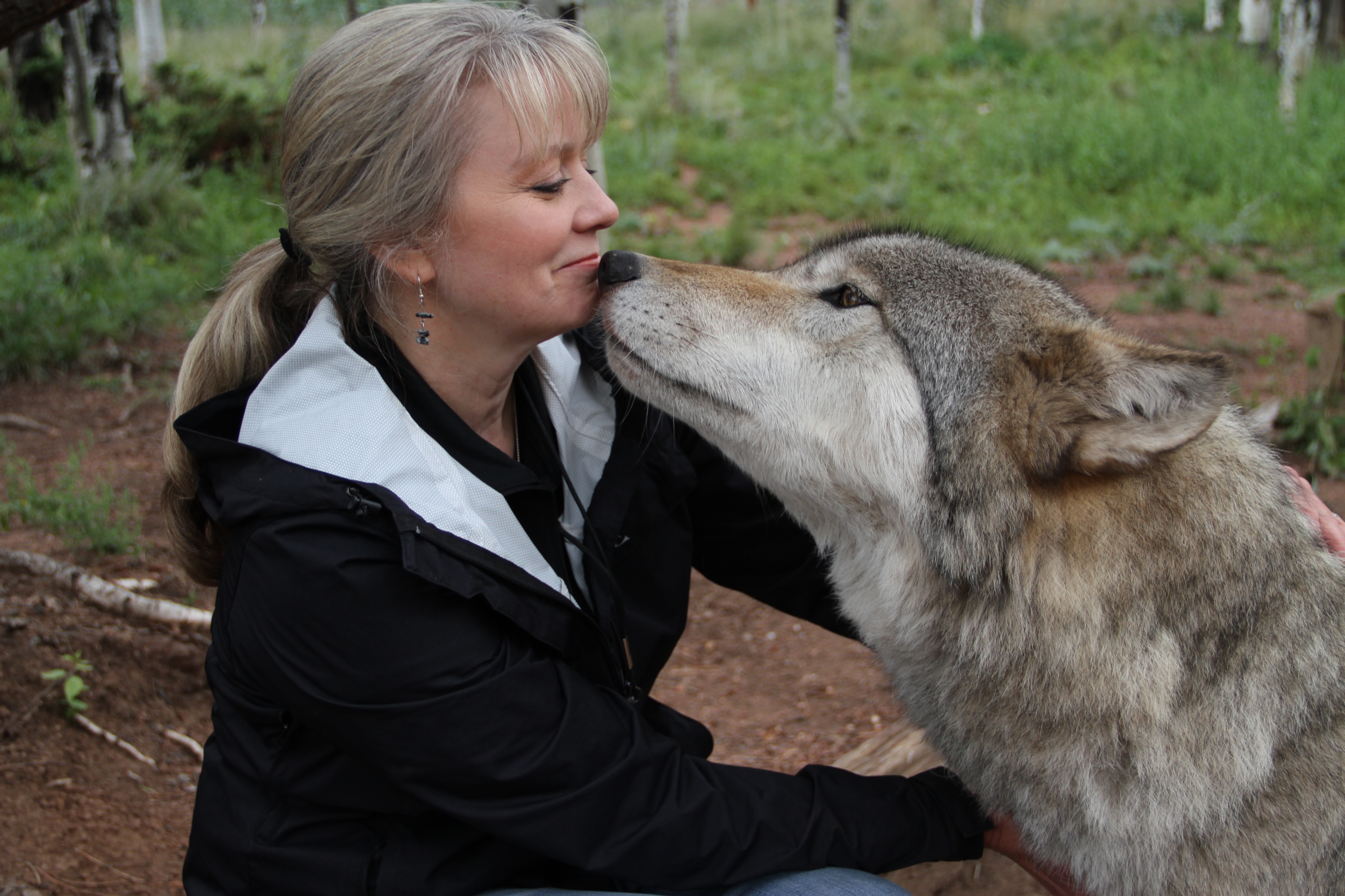 woman and grey wolf dog face to face