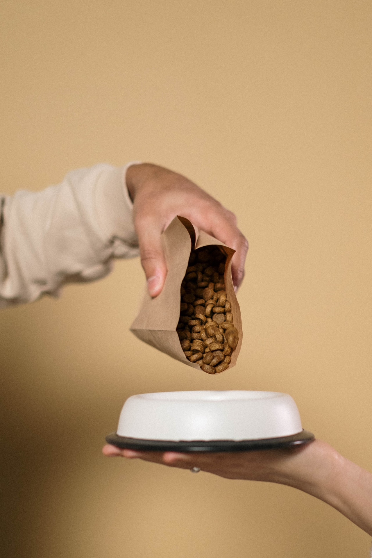 Pouring dog food into a bowl