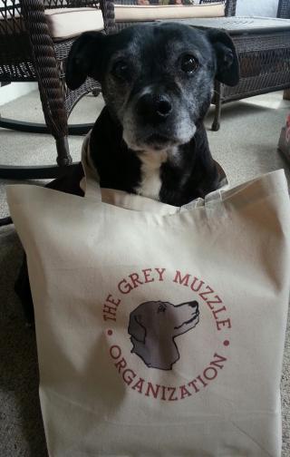 Mabel and her Grey Muzzle tote bag
