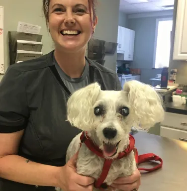 Vet tech and poodle