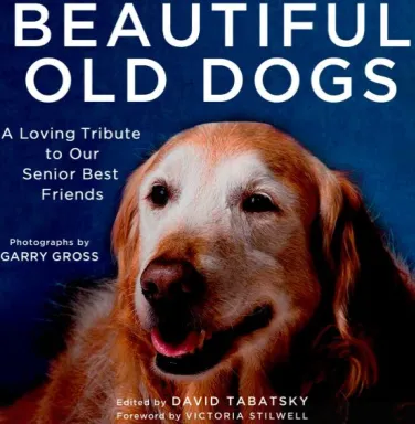 Beautiful Old Dogs, a loving tribute to our senior best friends, photography by Garry Gross