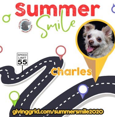 Charles Summer Smile