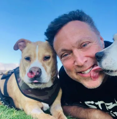 pit bull dog and man laying in grass