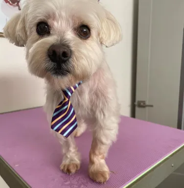 Friday with tie