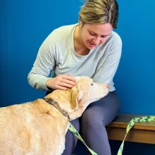 tan dog being pet by woman