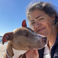 Dog and woman at beach