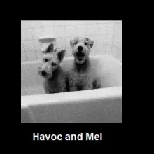 Havoc and Mel