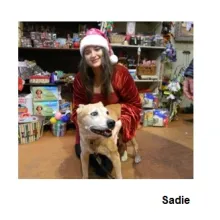 Sadie