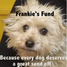 Frankie's Fund - Because every dog deserves a great send off