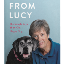 Front cover book shot of Lessons from Lucy by Dave Barry