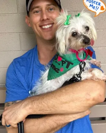 white dog with male volunteer