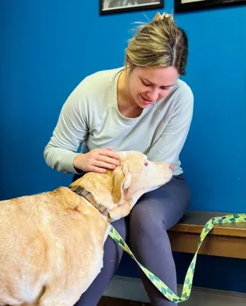 tan dog being pet by woman