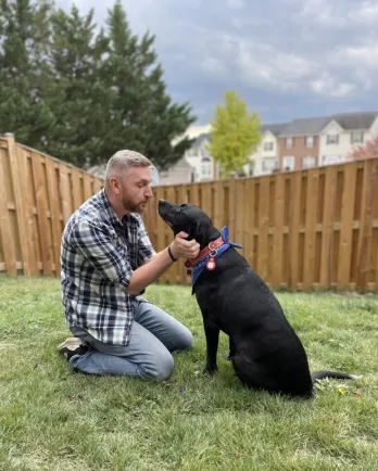 black lab with person