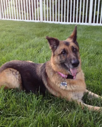 Maggie After in Pink Collar