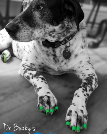 Dog Toenail Grips  Dr. Buzby's Toegrips® for Dogs