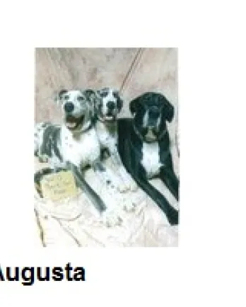 Augusta