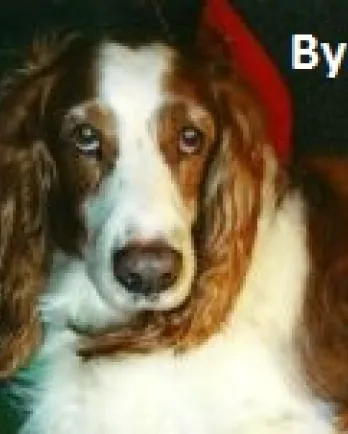 Byron