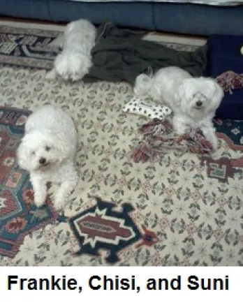 Frankie and Suni Angel