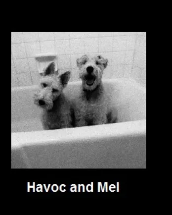 Havoc and Mel