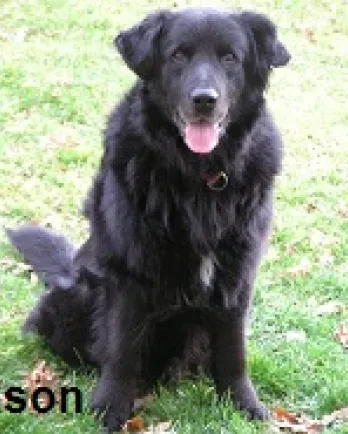 Jackson