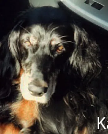 Kati