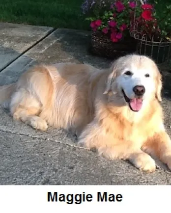 Maggie Mae