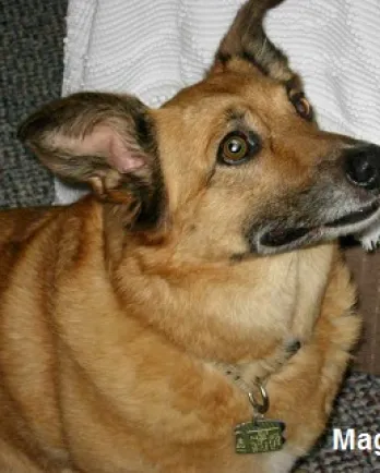 Maggie