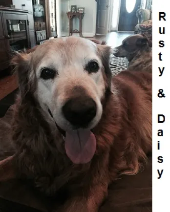 Rusty and Daisy
