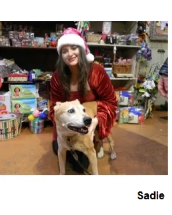 Sadie