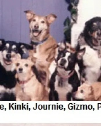 The Pinner Kidz