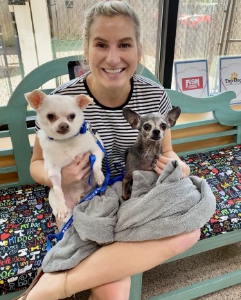 two small dogs in the lap of a blonde woman