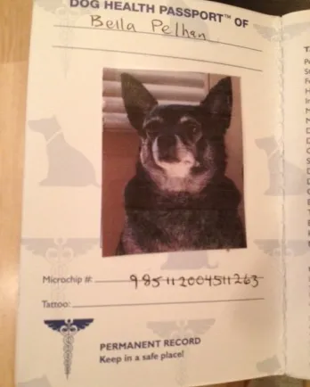 Bella's passport for her trip to the UK.