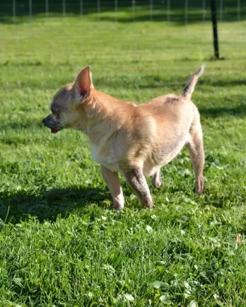 Claire, enjoying the outside