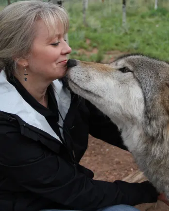 woman and grey wolf dog face to face