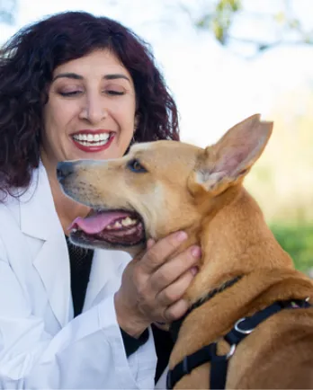 Dog with Woman