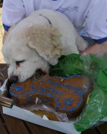 Walter Eating Cake