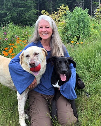 white haired woman with two dogs in a field