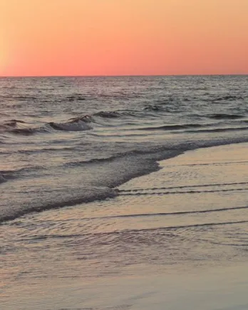 Hops walking at the water's edge at sunset