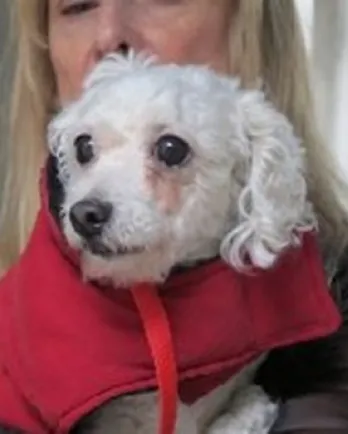 Janie