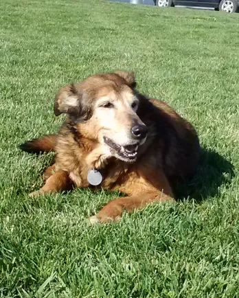 Mitzi