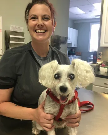 Vet tech and poodle