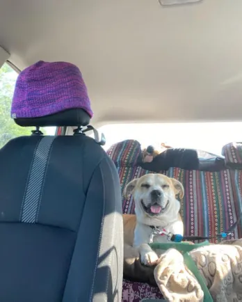 Brooks in the car