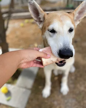 Churro