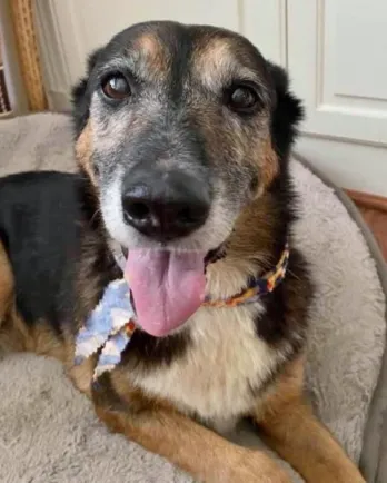 Ellie Mae